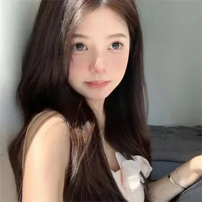 总统的危机